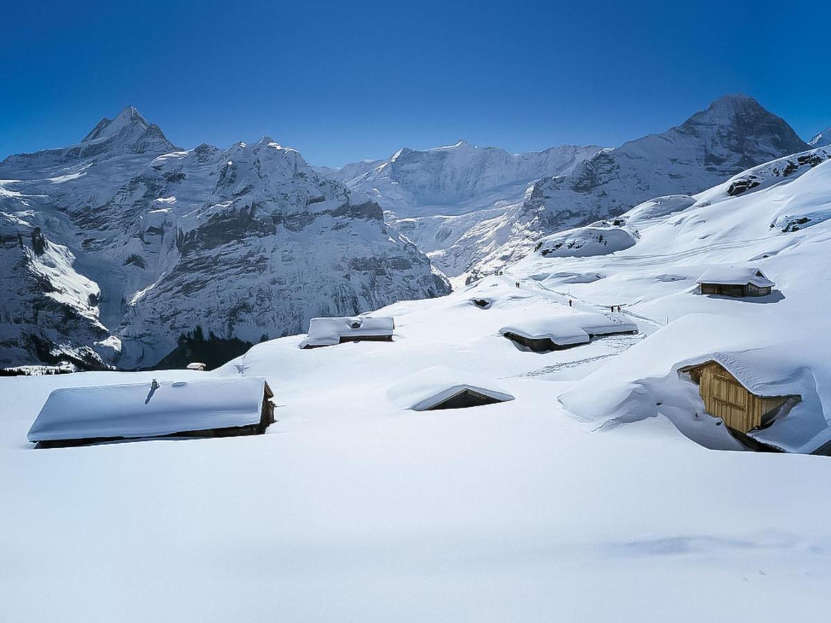Apartment Chalet Shangri La By Interhome Grindelwald Exterior photo